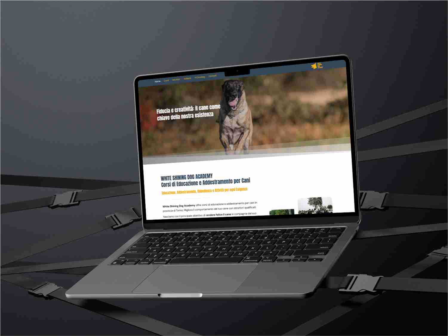 siti web professionali in Liguria